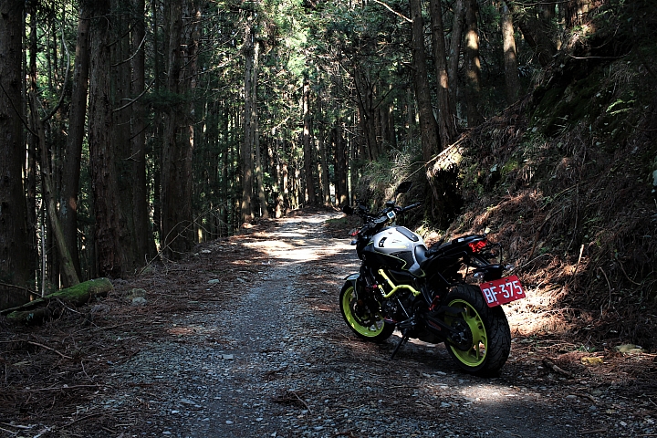 騎車、爬山、拍照,三個願望一次滿足之郡大山單攻