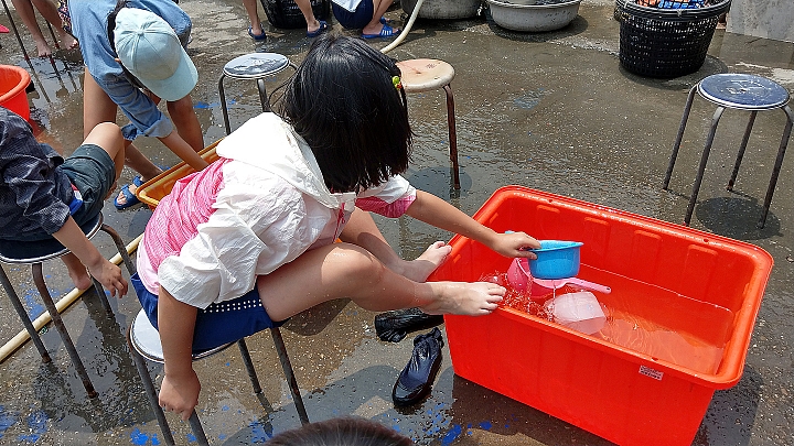 【遊記】芳苑潮間帶採蚵趣