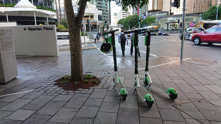 安安爸的拖車日記-安安家族澳洲追袋鼠