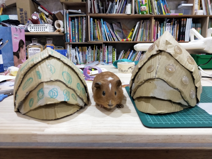 送給孩子們的童年回憶---風之谷系列玩具