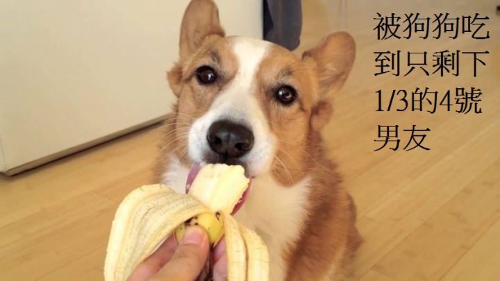 心情篇-水性楊花的女人