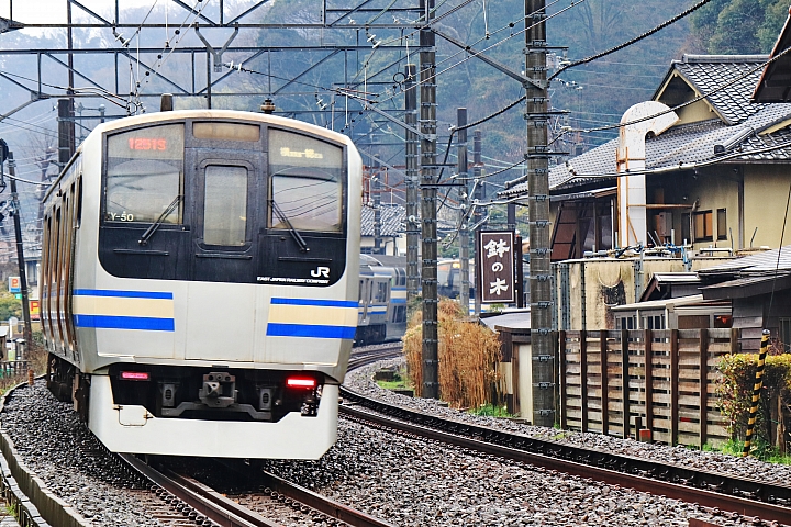 (映像旅行) 在鎌倉雨中漫步,享受心靈洗滌 feat.Canon EOS M50