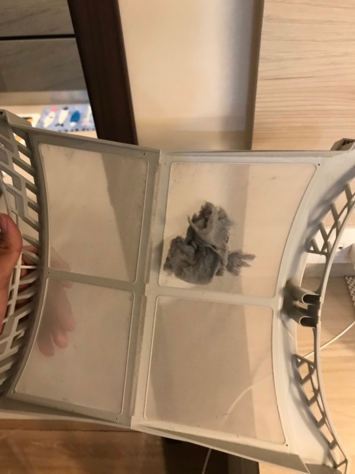 滾筒烘衣機初體驗---LG免曬衣烘衣機