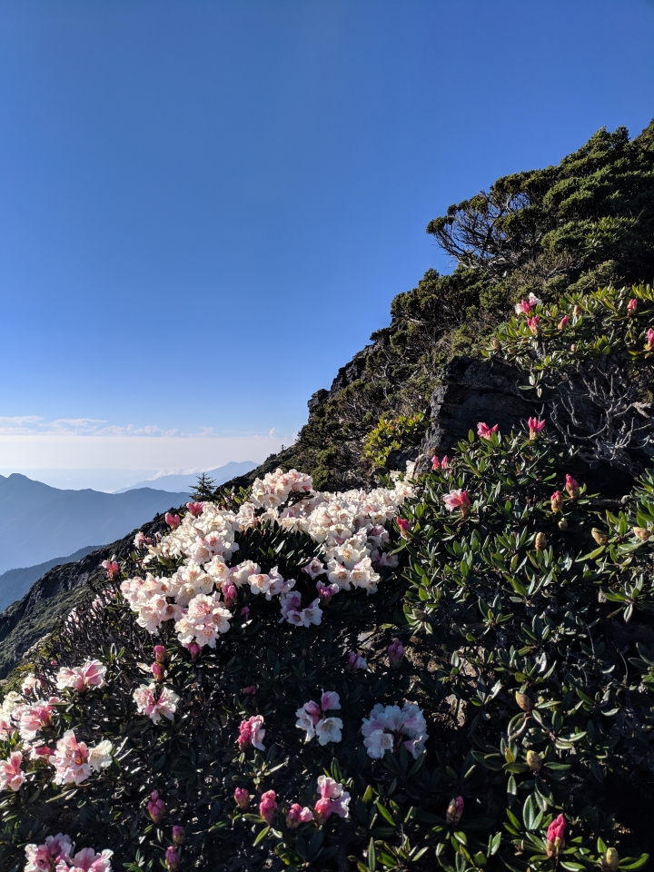NOKIA 8.1 沒防水,受潮沒辦法。