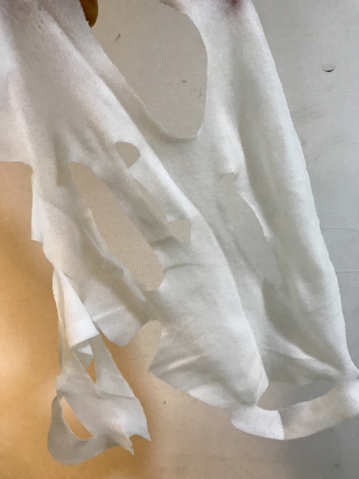 內有展演~超服貼的台塑生醫海藻保濕面膜