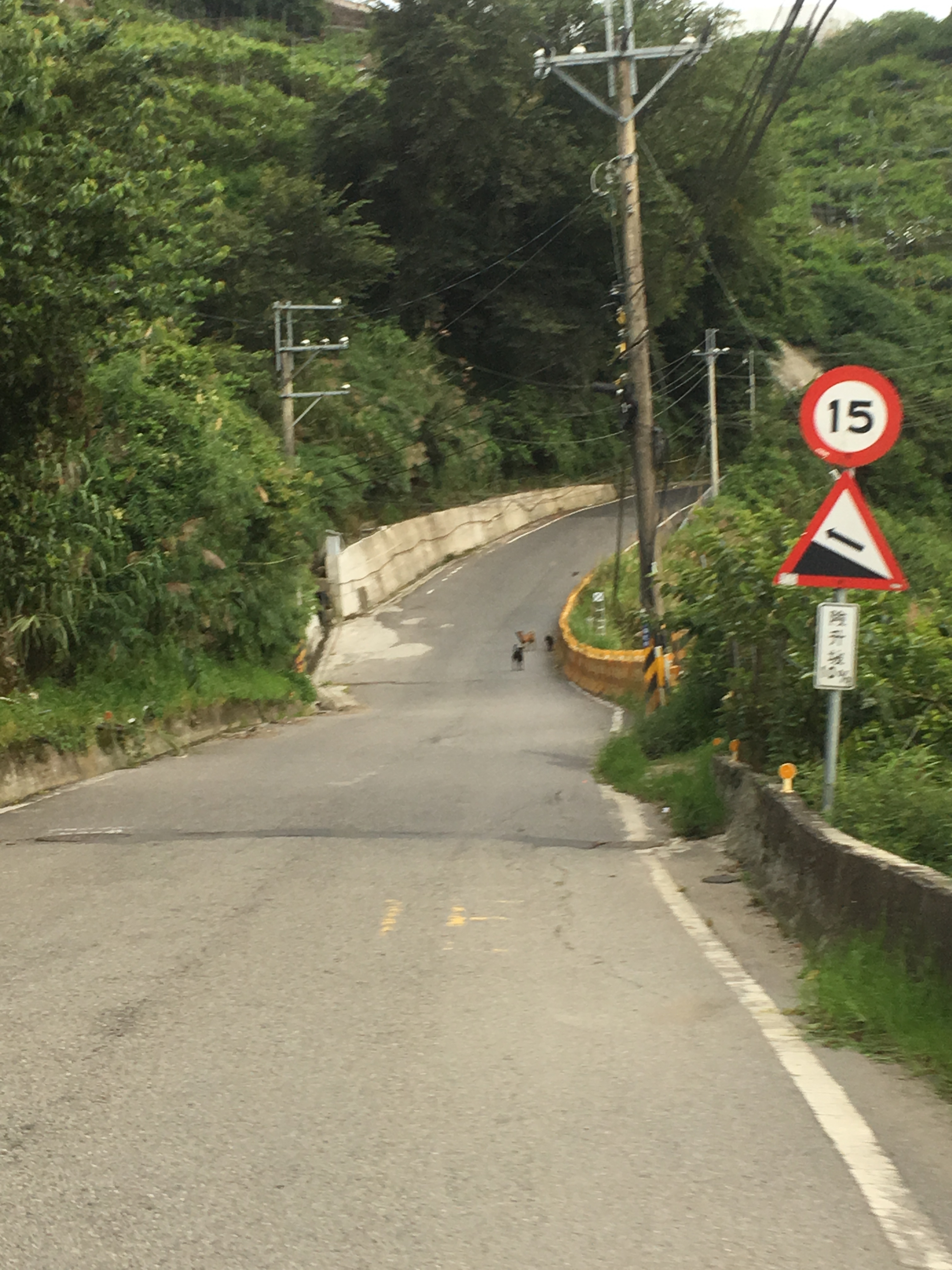 SSCX單速車一日(26小時)中央山脈挑戰賽