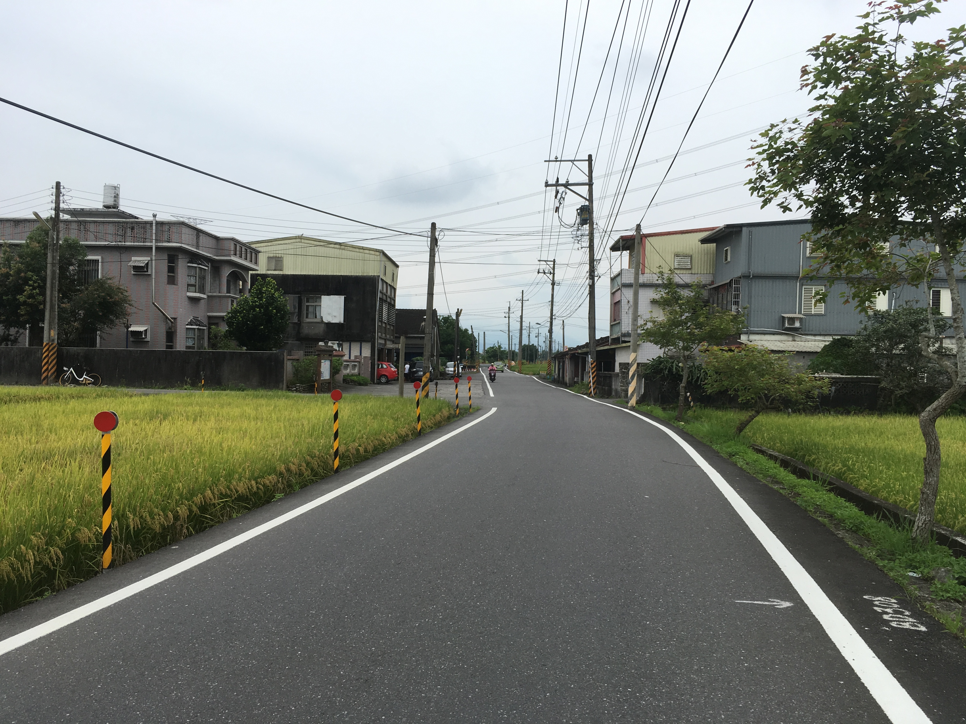 SSCX單速車一日(26小時)中央山脈挑戰賽