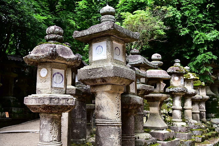 久違的遠行--大阪