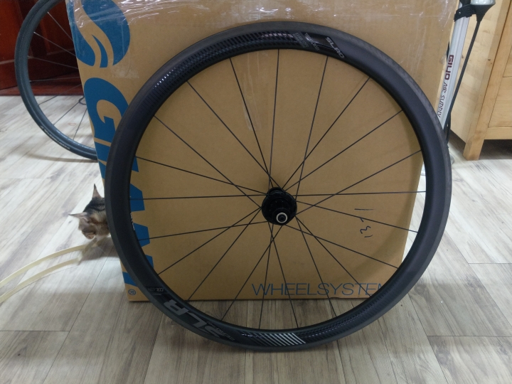 GIANT SLR0 42mm 後輪開箱....
