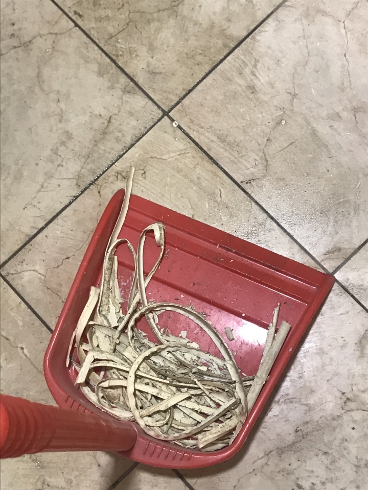 【開箱】~~~~~二手屋翻修-----工業風 自行設計、找工班、監工、驗收