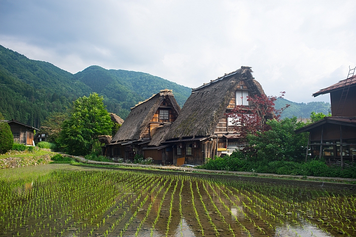 旅行 白川鄉 合掌村 41P SONY A7 28mm F2