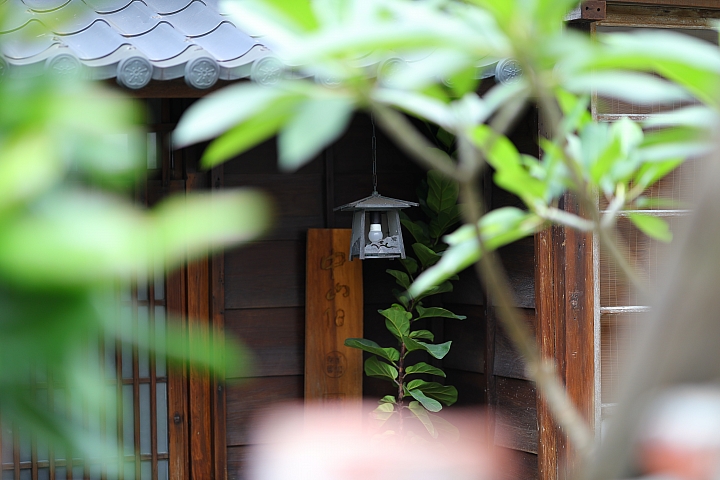 Canon RF 85mm f/1.2L USM 鏡頭評測|極致光學的展現 人像鏡皇代表作!
