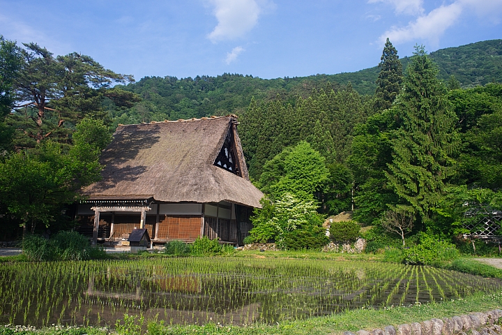 旅行 白川鄉 合掌村 41P SONY A7 28mm F2