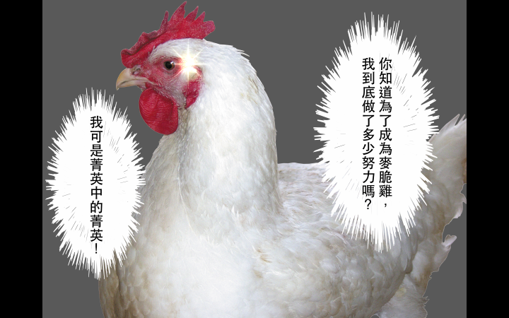 我是麥脆雞但不是雞