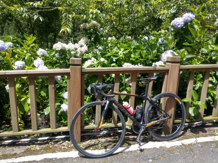 GIANT SLR0 42mm 後輪開箱....