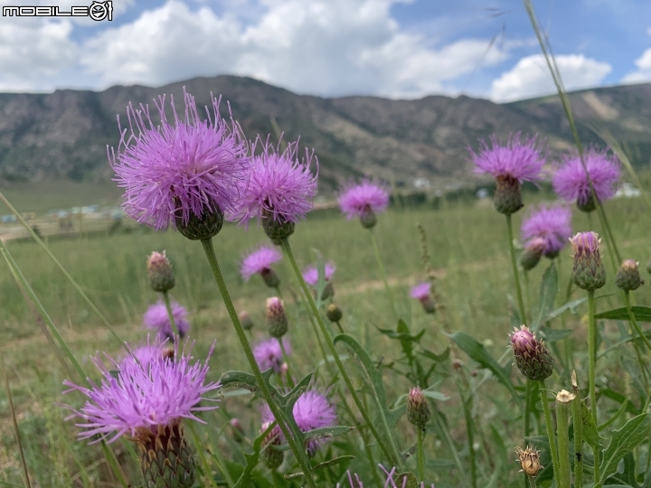 2019 初到蒙古國 (四)Gorkhi Terelj National Park兩日遊 -上