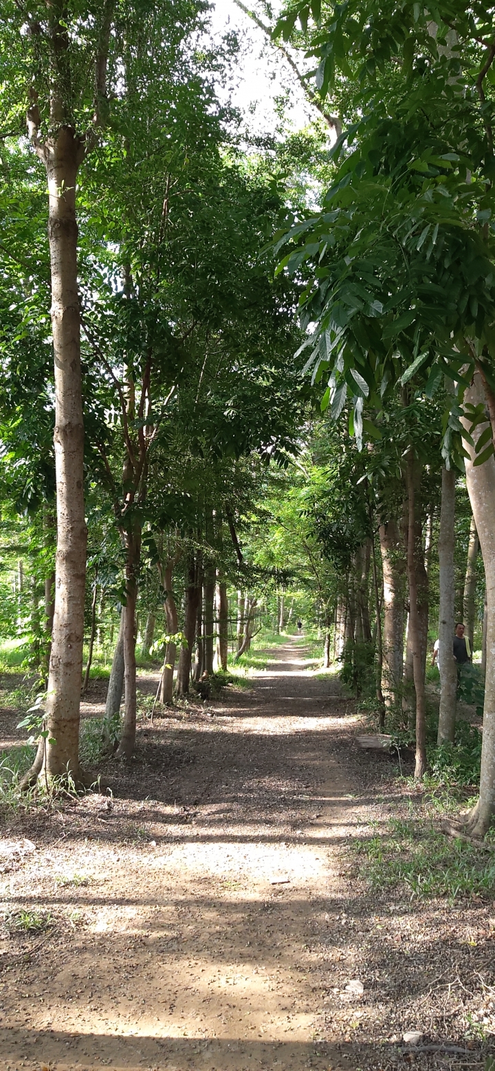 A8s蜜桃蘇打粉開箱(補上6天使用心得與實拍)