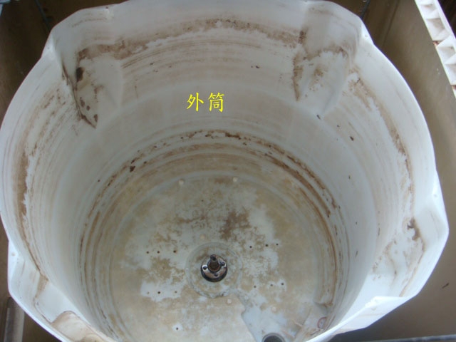 洗衣機定期清潔