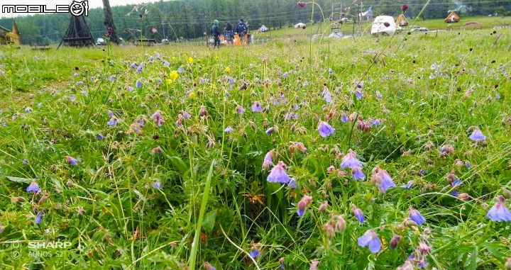 2019 初到蒙古國 (八)庫蘇古勒湖我來了!