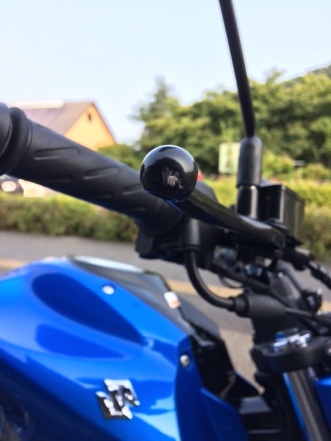 開箱 日本 Suzuki Gixxer (這台是台灣小阿魯?!)