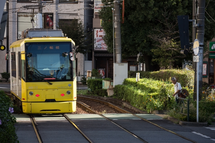 回憶:穿梭城市間,都電荒川線散步