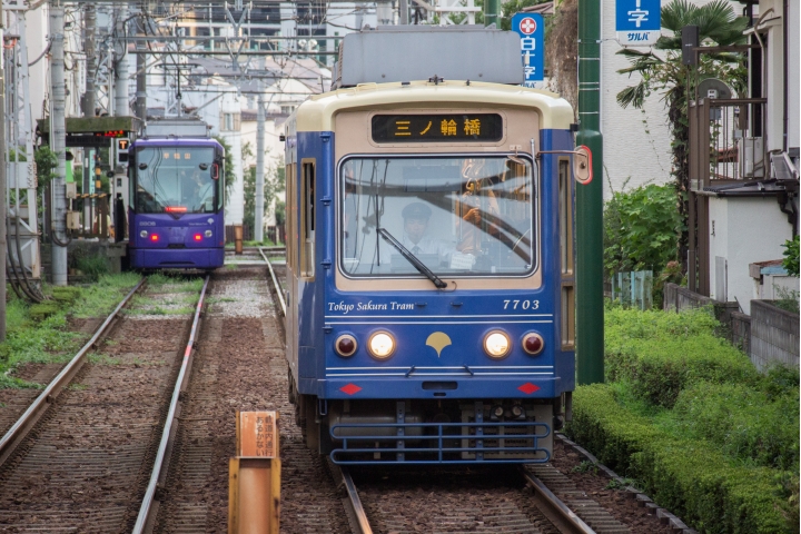 回憶:穿梭城市間,都電荒川線散步