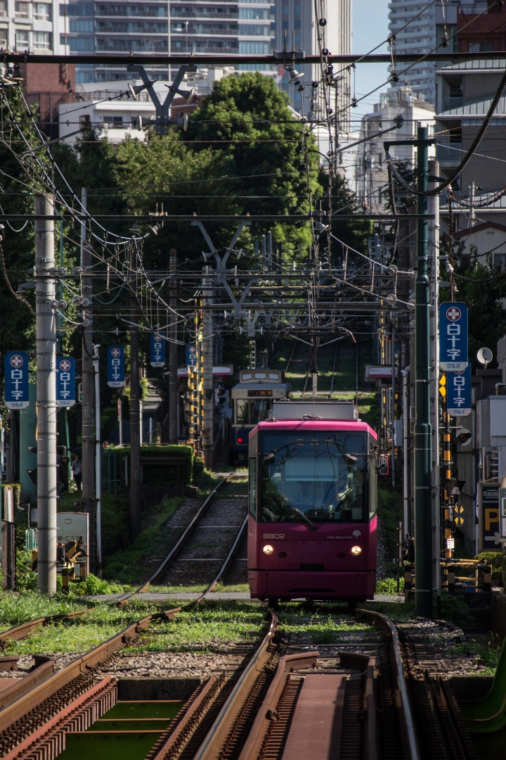 回憶:穿梭城市間,都電荒川線散步
