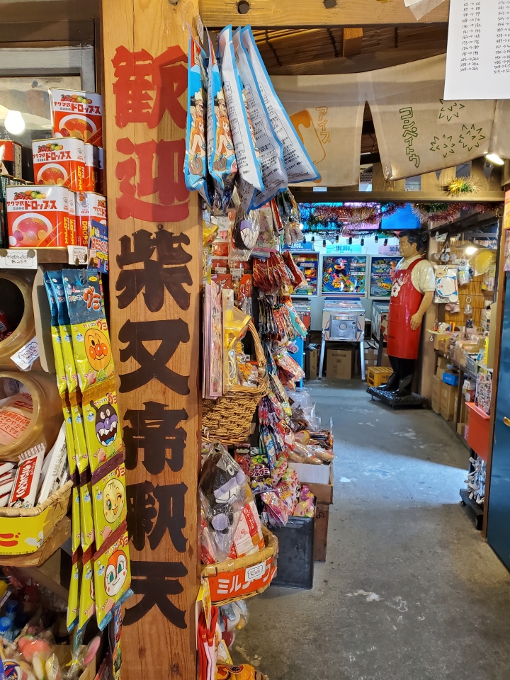 (分享)帶著Note10+東京自由行