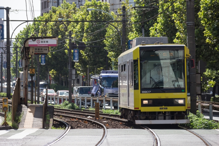 回憶:穿梭城市間,都電荒川線散步