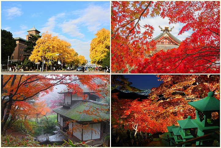 【神奈川縣】東京近郊神奈川縣賞楓景點大公開！多一股清幽與閒情逸致的秋季賞楓玩法！