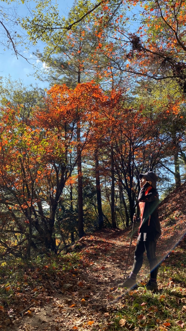 海到無邊天作岸 山登絕頂我為峰 成王之路 南湖大山