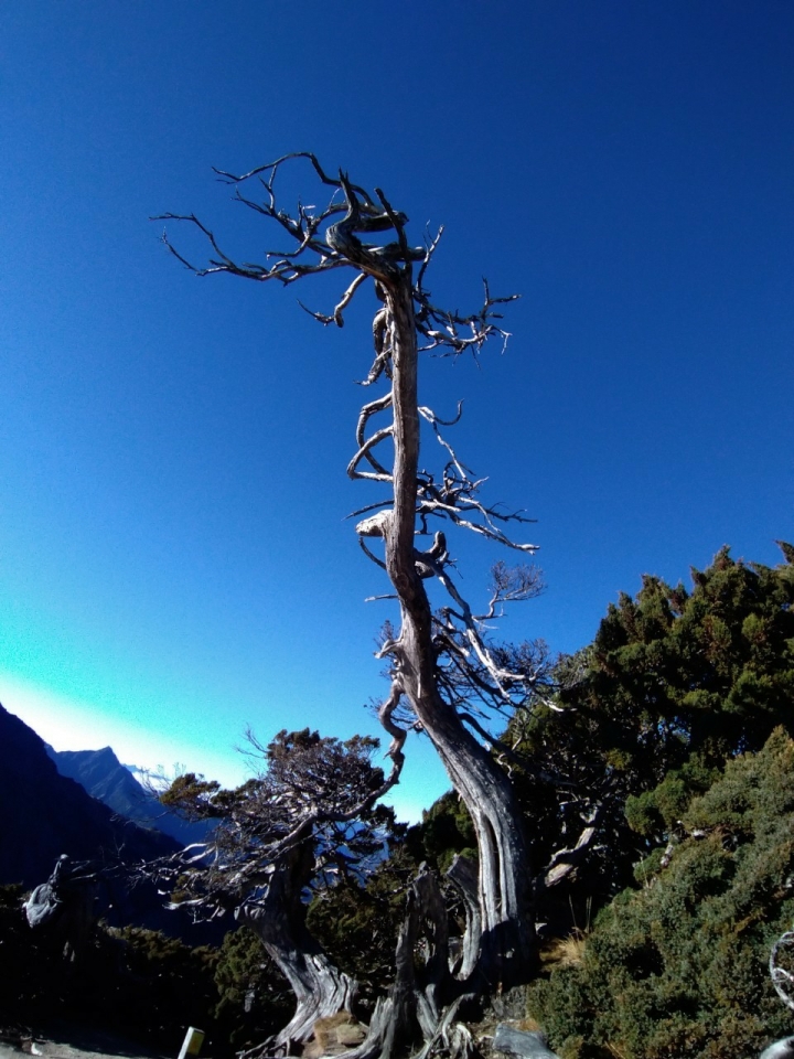 海到無邊天作岸 山登絕頂我為峰 成王之路 南湖大山