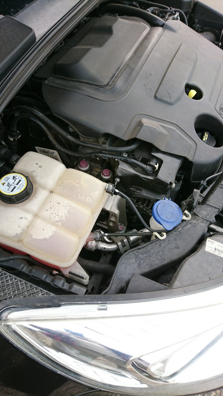 2014 focus Tdci Mk3 保養記錄版