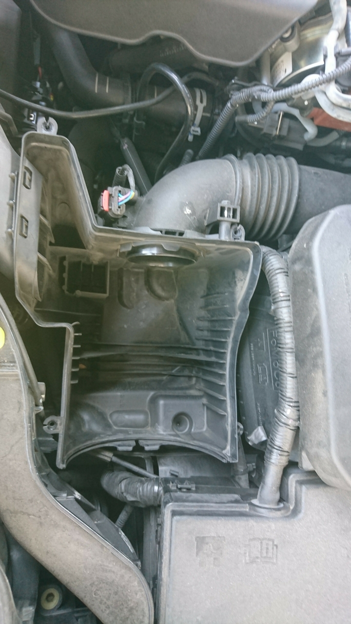 2014 focus Tdci Mk3 保養記錄版