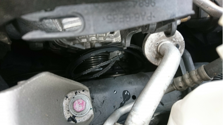 2014 focus Tdci Mk3 保養記錄版