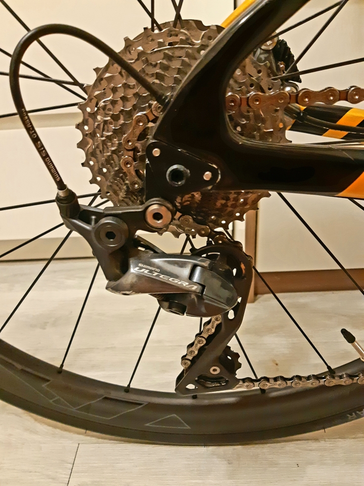2021 Gusto Ranger disc team limited開箱