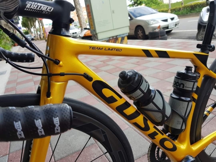 2021 Gusto Ranger disc team limited開箱