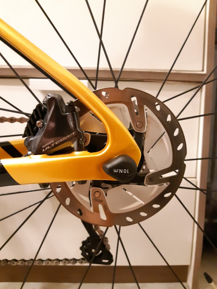 2021 Gusto Ranger disc team limited開箱