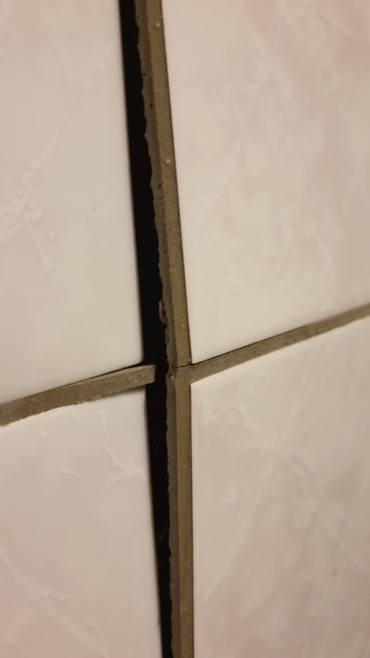 (求助)牆面磁磚遇冷膨龜,想問大概預算要抓多少??