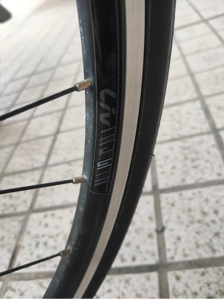 雜牌單車車改裝(後續)
