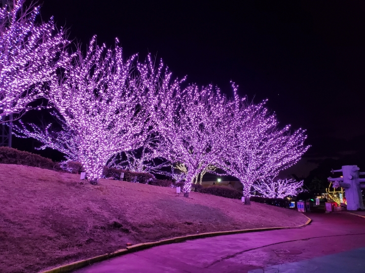 親子情侶都適合的日本九州 Greenland 格林樂園