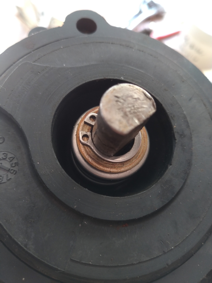 大井 加壓馬達 1/4 HP 拆機維修 換軸承及軸封