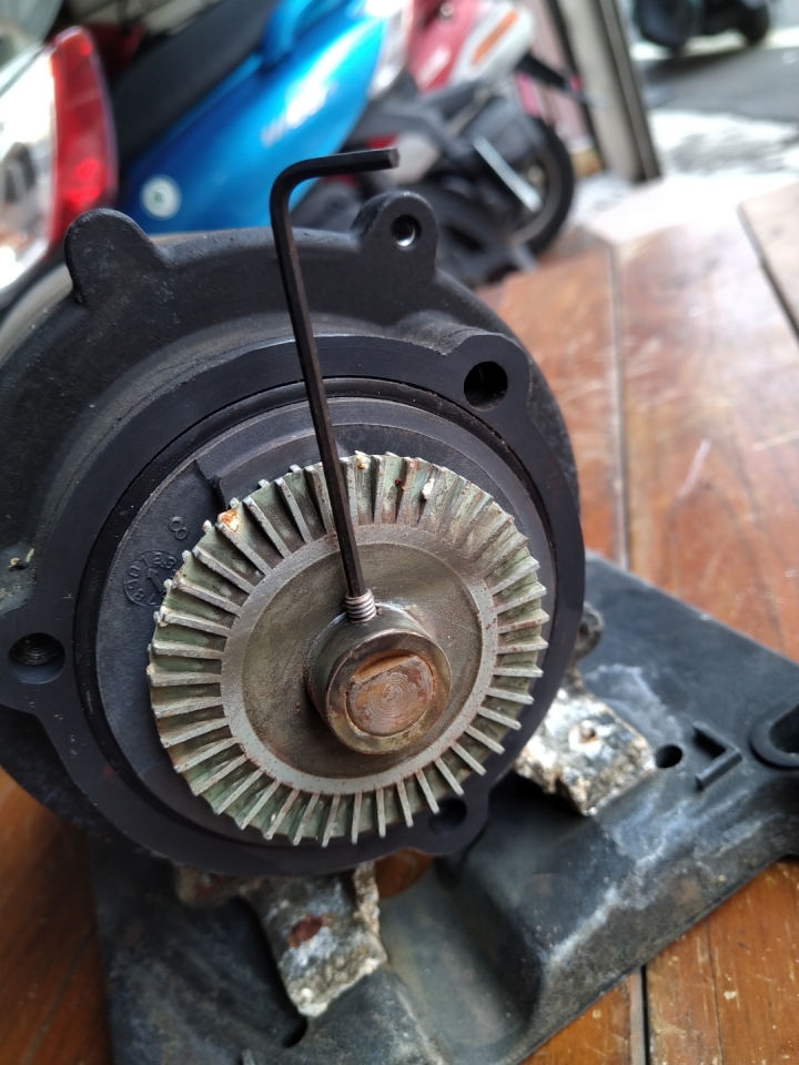 大井 加壓馬達 1/4 HP 拆機維修 換軸承及軸封