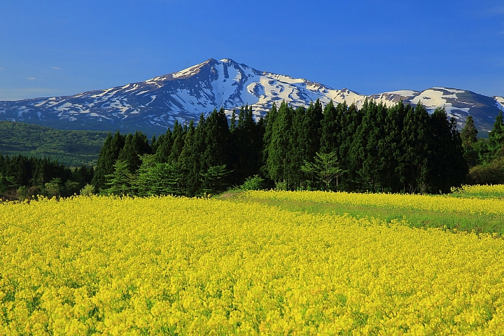 透過旅行感受盛岡和秋田的美食與美景!