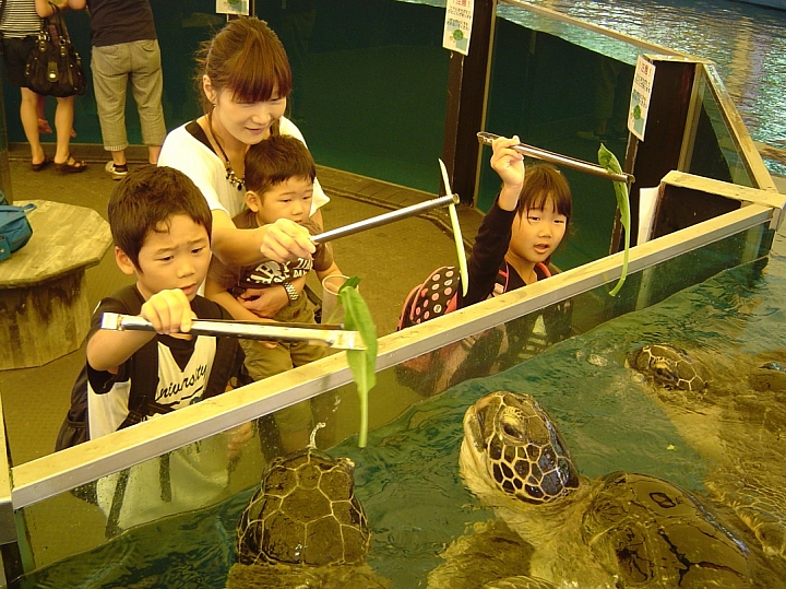 【福井縣】「越前松島水族館」超乎期待有趣的【崖上的度假勝地】