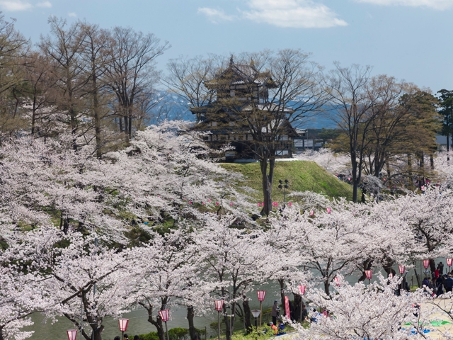 【日本中部、東海】賞櫻、櫻花名勝排行榜2019,還有熱門的夜櫻與櫻花季!