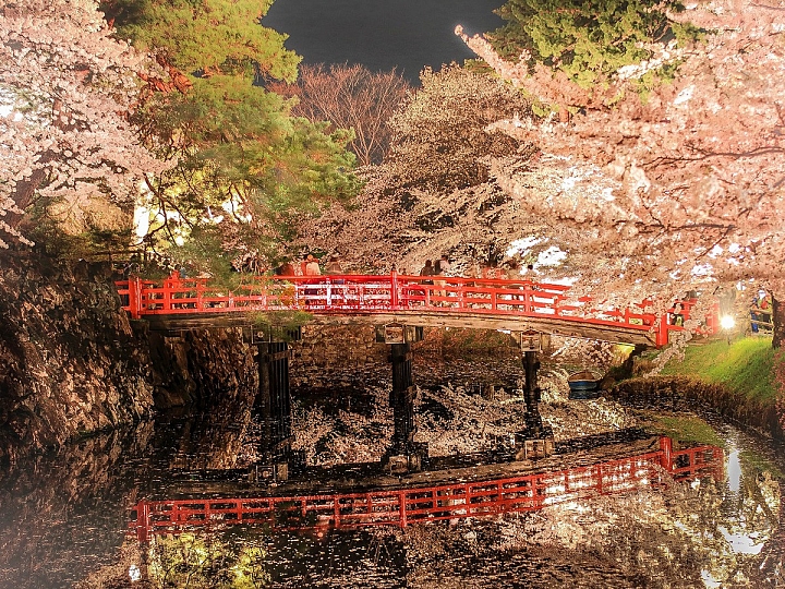 【北海道、東北】賞櫻、櫻花名勝排行榜2019,還有熱門的夜櫻與櫻花季!