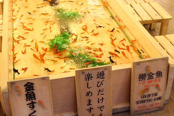 【東京都‧淺草】隨時隨地都有祭典氣氛!享受撈金魚&射擊遊戲樂趣