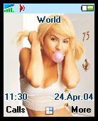 [分享T6X0/Z600]自製: Elisha Cuthbert 主題