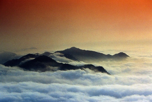 阿里山41K的雲海